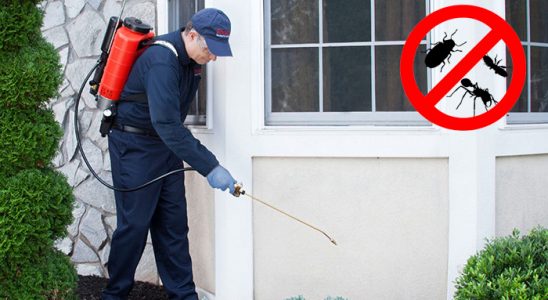 Tufanbeyli Bit İlaçlama böcek ilaçlama ve haşere kontrolü — ilaclama-tr.com